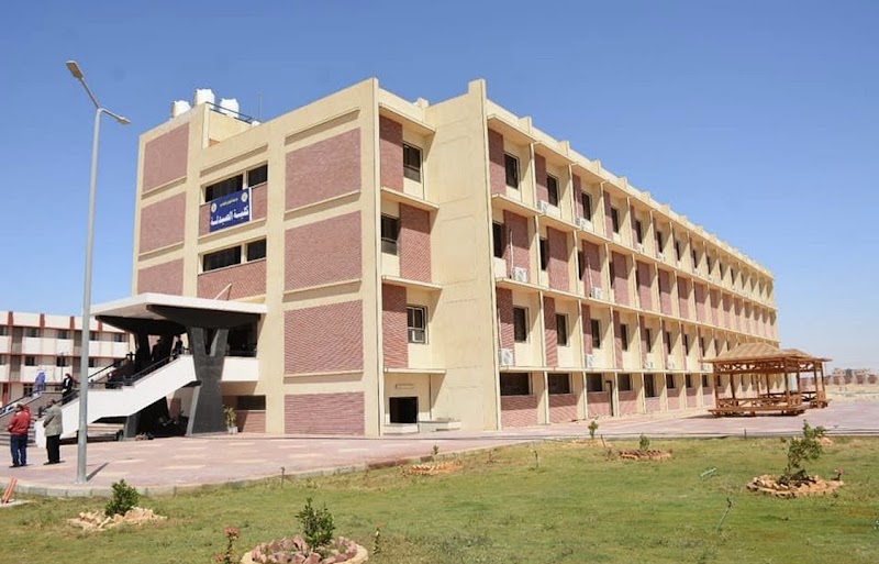 Faculty of Pharmacy - New Valley University