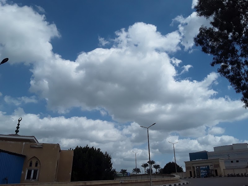 Commercial Technical Institute Quesna - Photo 1