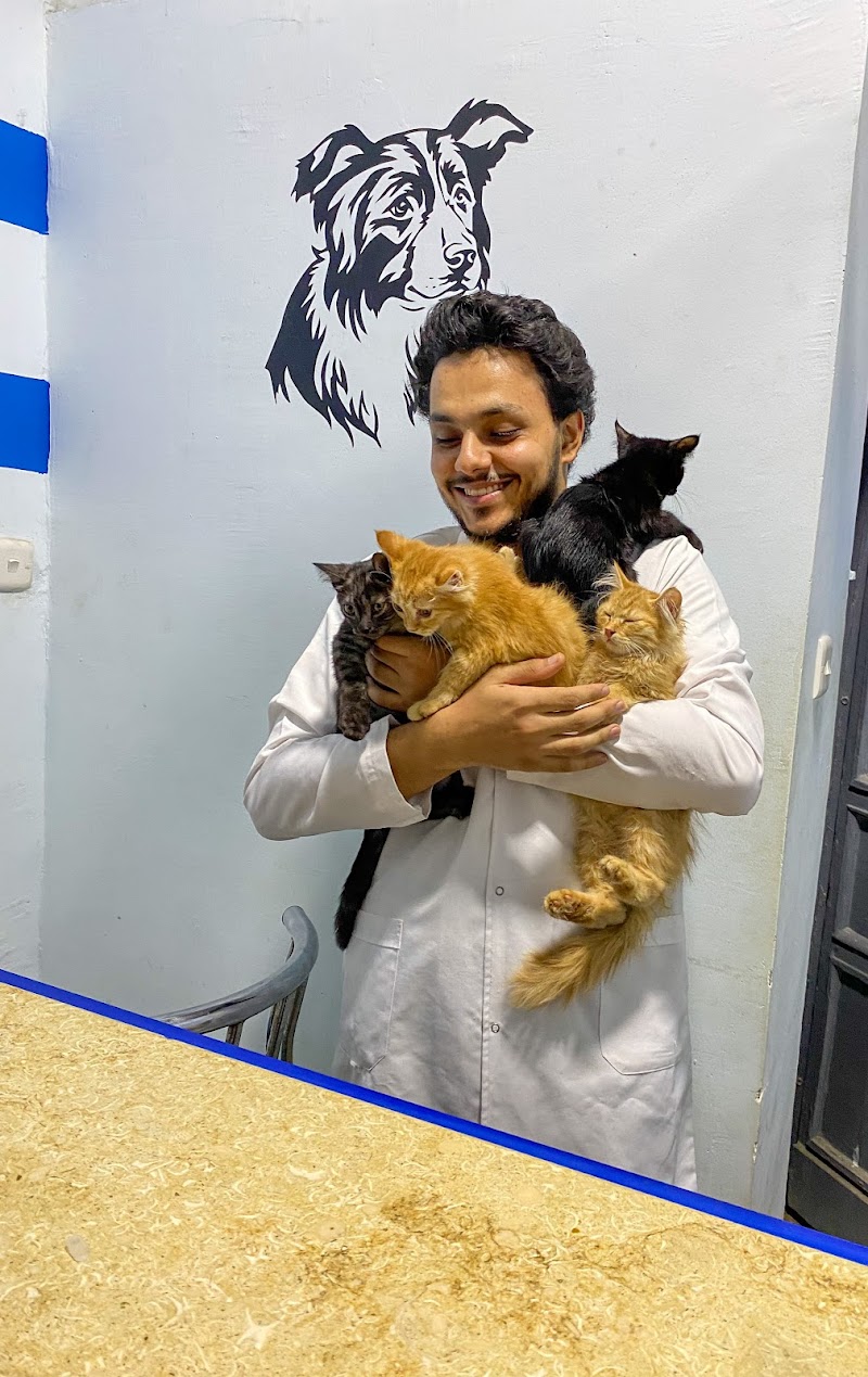Petso Vet Clinic