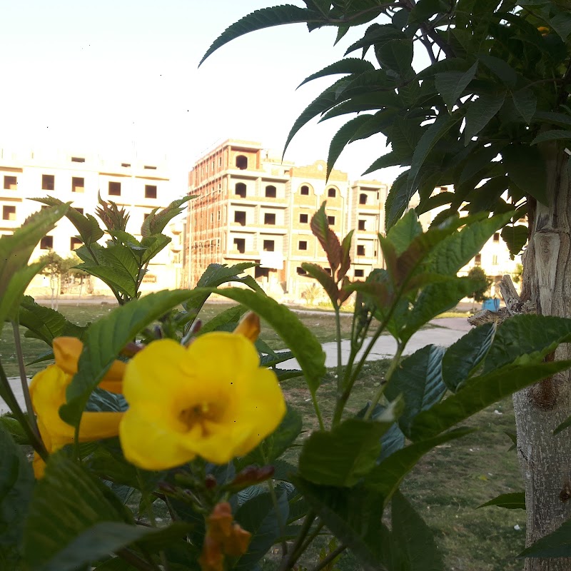 sanad advisor - صورة 2