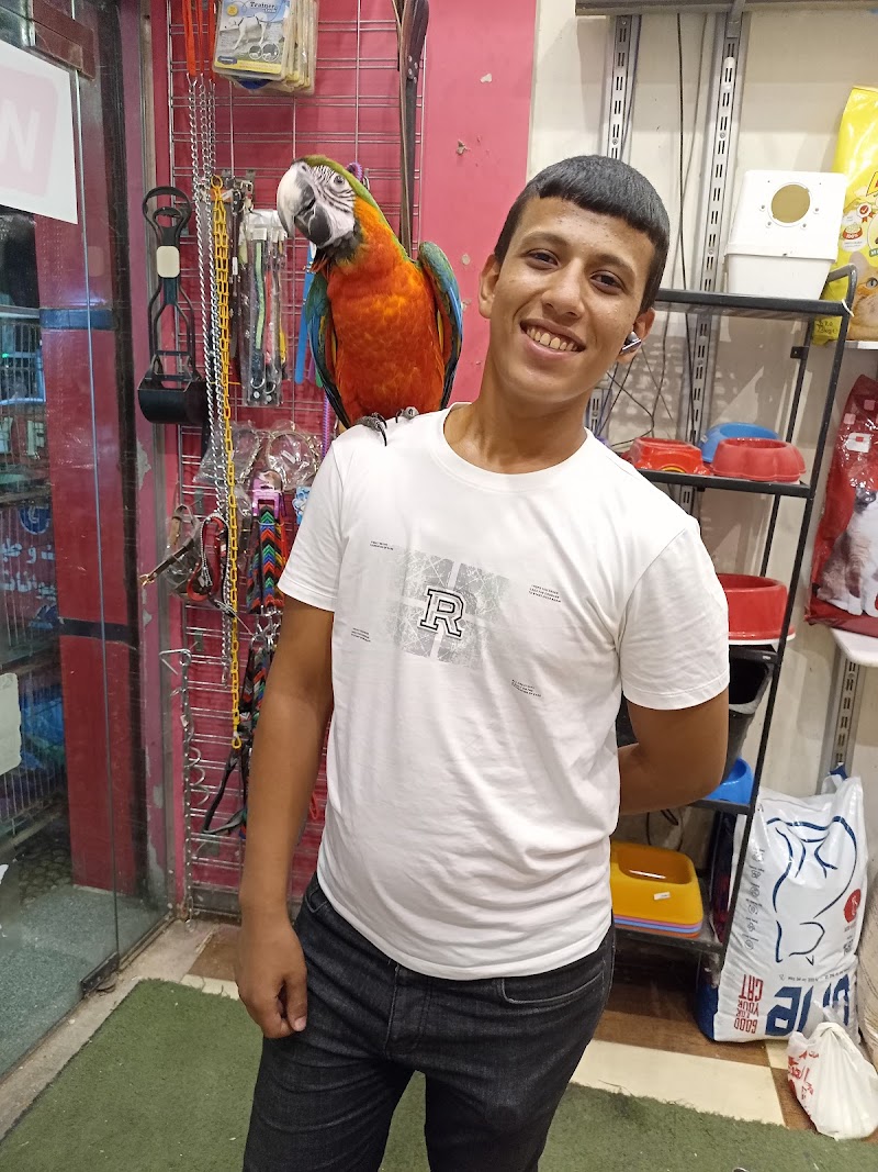 فاني فيش - صورة 1