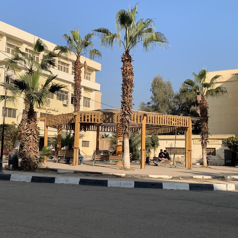 كلية الزراعة جامعة الفيوم - صورة 1
